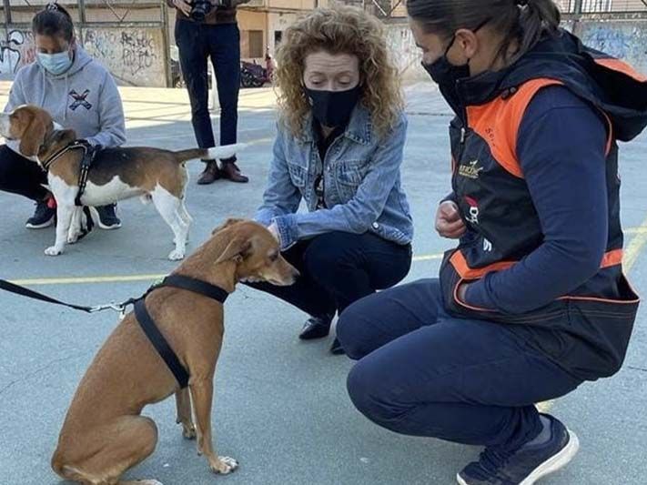 Proyectos sociales con perros