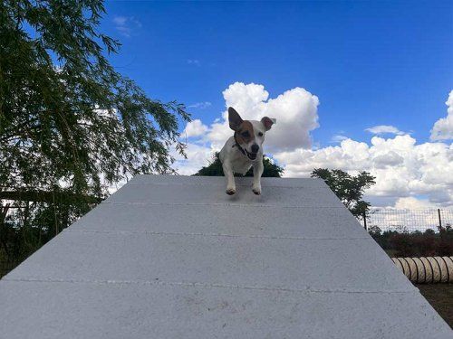 Agility en Salamanca