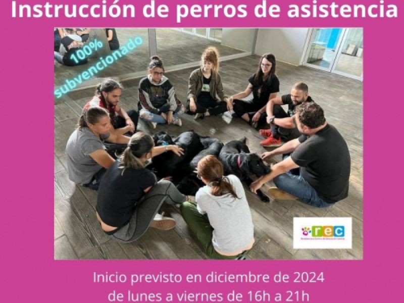 INSTRUCCION PERROS DE ASISTENCIA