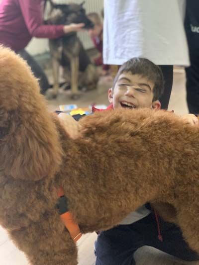 Proyectos sociales con perros