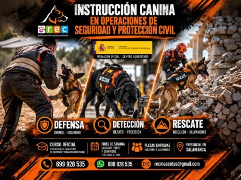 Instrucción de perros de asistencia