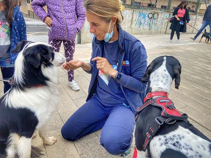 Proyectos sociales con perros