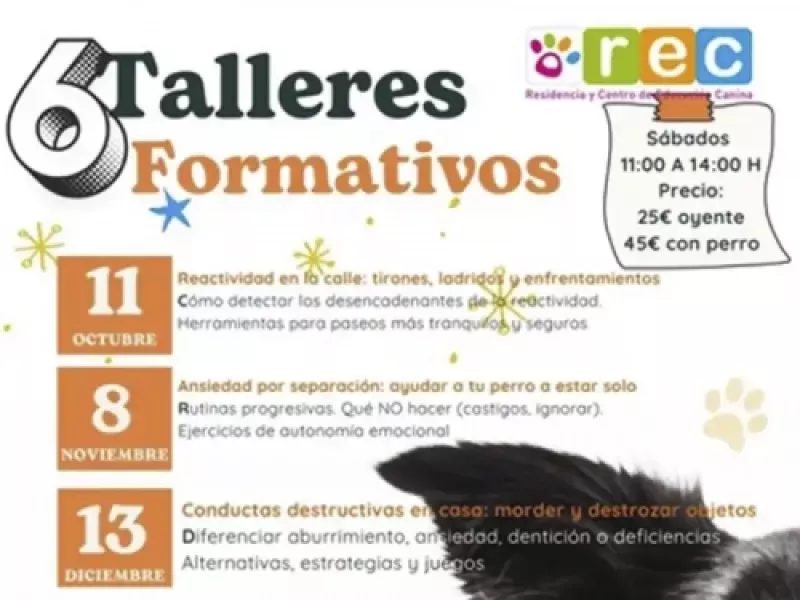 Ciclo de talleres formativos