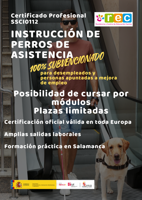 flyer asistencia flyer asistencia
