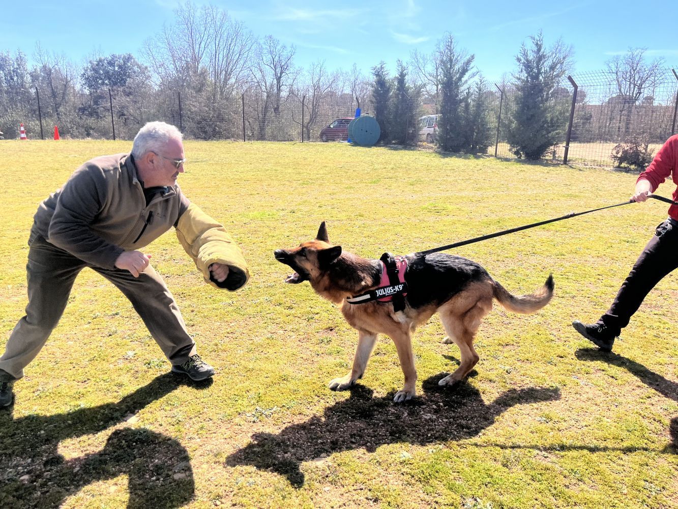 Instrucción canina en operaciones de seguridad y protección civil   SEAD0512