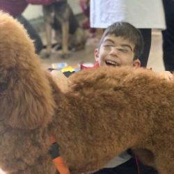 Proyectos sociales con perros