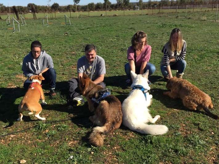 4 personas acariciando a sus perros