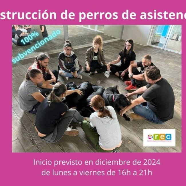 Instrucción perros de Asistencia