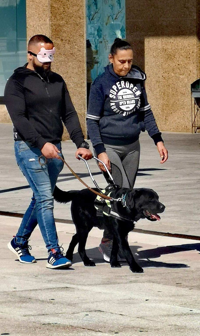 Formación para perros de asistencia Formación para perros de asistencia