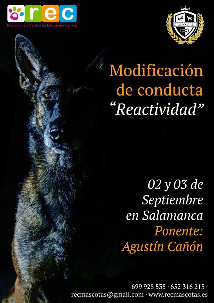 Modificación de conducta