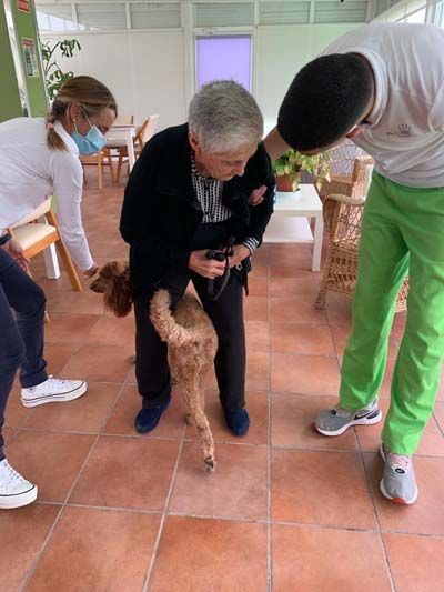 Proyectos sociales con perros