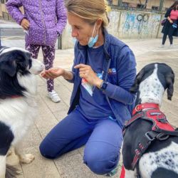 Proyectos sociales con perros