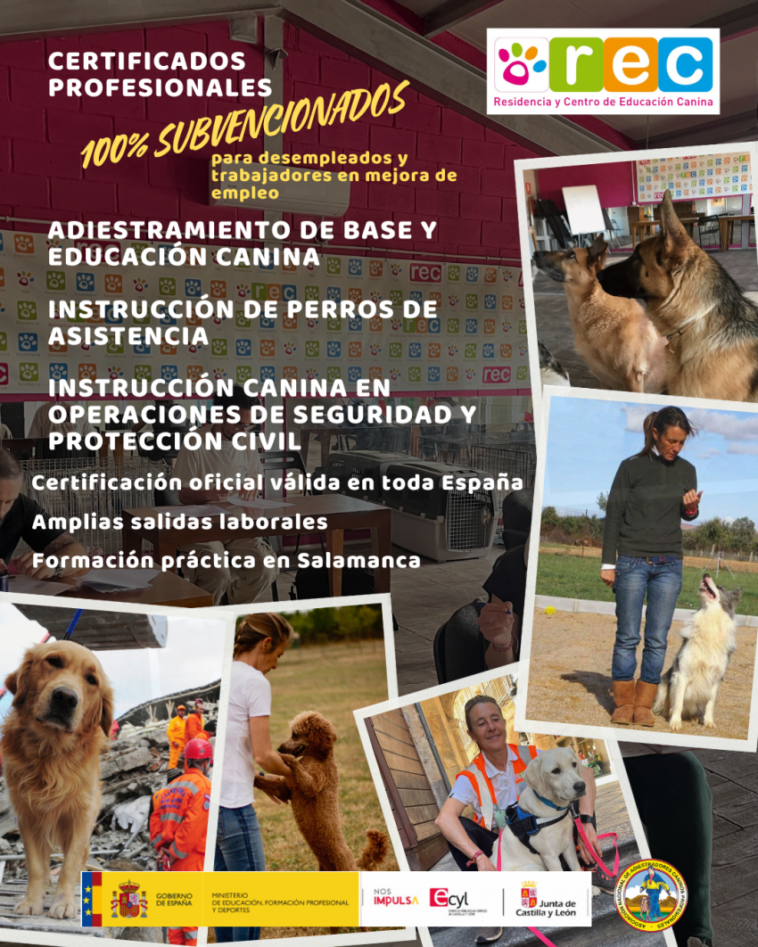 CARTEL CERTIFICADOS